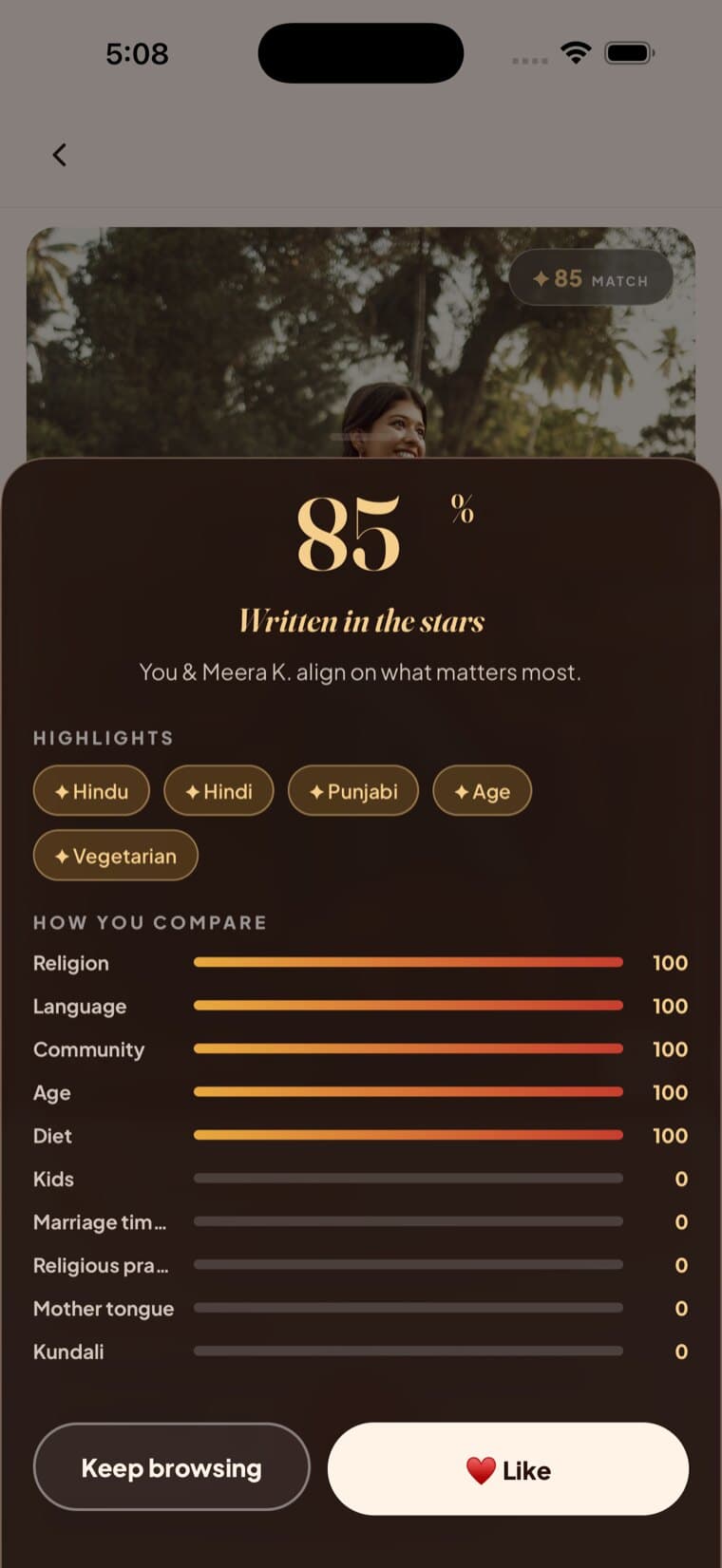 Kissmet's in-app compatibility sheet: 85% — Written in the stars. Highlights Hindu, Hindi, Punjabi, Age, Vegetarian, with a full how-you-compare breakdown